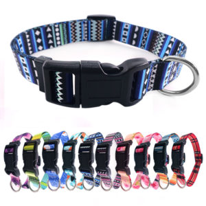 Full Color 1" Wide Adjustable Pet Collar