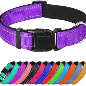 Pets: Reflective Dog Collar and Leash Set