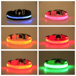 Led Dog Collar