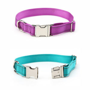 Personalized Dog Collar